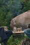 4lhC24wmYUQlakajDqsKggBDDwz